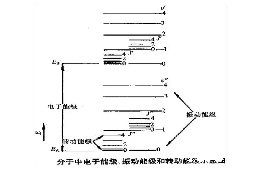 640.webp (1).png